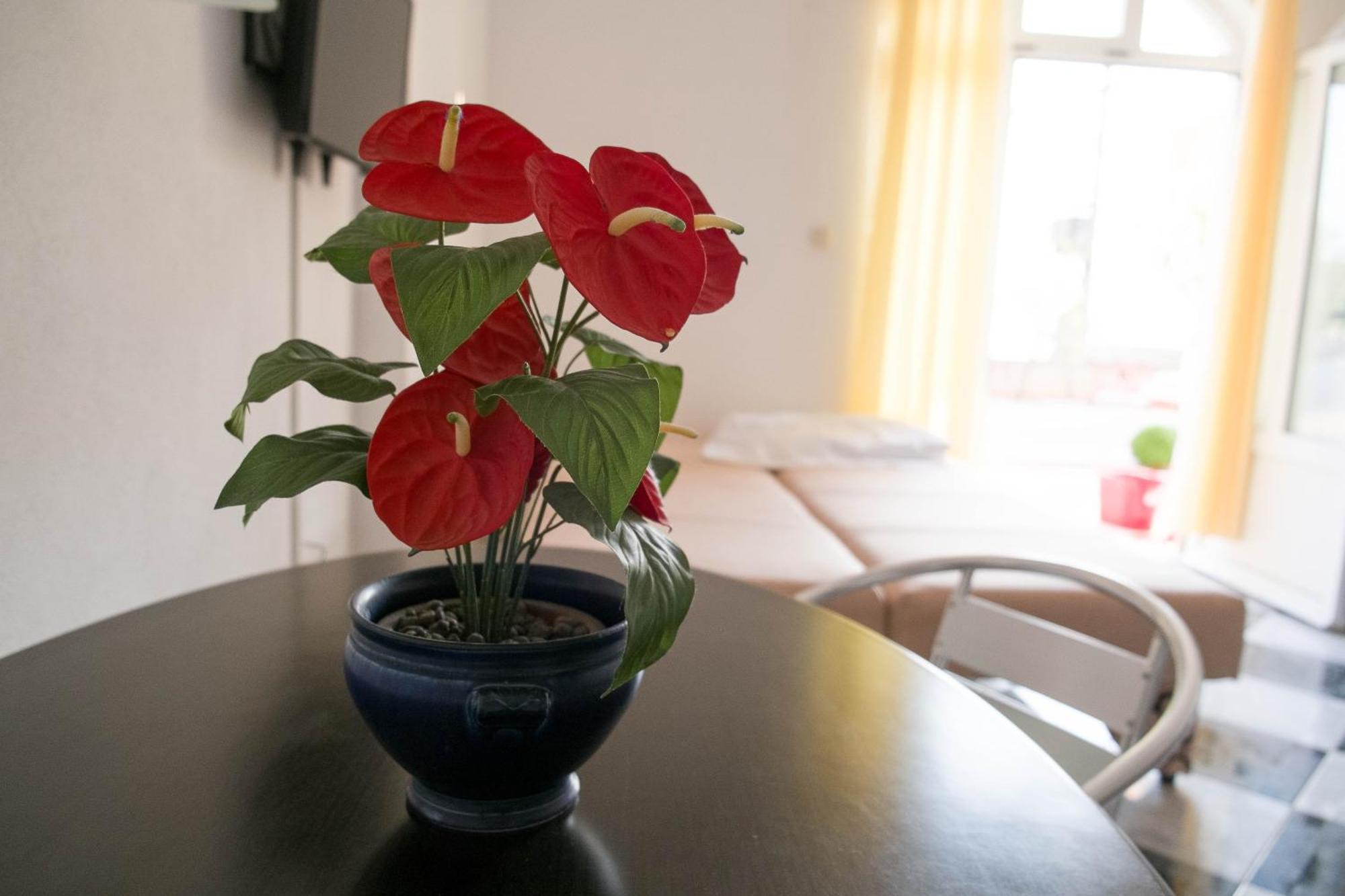 Apartments Damjanovic Makarska Habitación foto